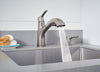 PEERLESS - PARKWOODÂ® Single Handle Pullout Kitchen Faucet #P6935LF