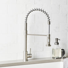 Cargar imagen en el visor de la galería, WASSERMAN - SS Spring Kitchen Faucet with Sprayer &amp; Deck Plate #S1500123