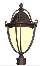 Cargar imagen en el visor de la galería, Allen + Roth Portage Bronce Lámpara de poste para exteriores informal/transicional