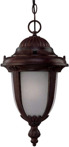 Acclaim ES3526BW/FR One Light Hanging Lantern