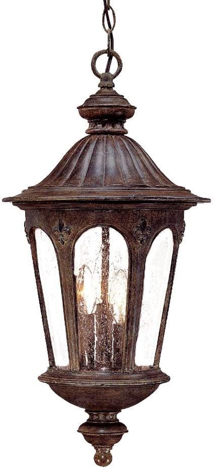 Acclaim Wyndham 3 Light Outdoor Hanging Lantern Finish: Black Coral 1566 BC
