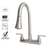 Wasserman 22167143 - Pulldown Kitchen Faucet with 28mm Spout