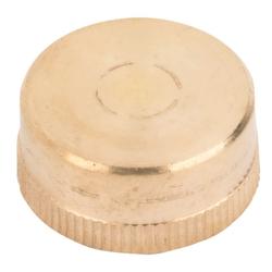 LDR® 504 2510 Female Threaded Hose Cap, For Use With Hose