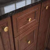Brainerd Round 1-1/4-in Tumbled Antique Brass Round Transitional Cabinet Knob #P50154W-ABT-C